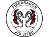 Firedragon - Anerkannte Kampfsportschulen